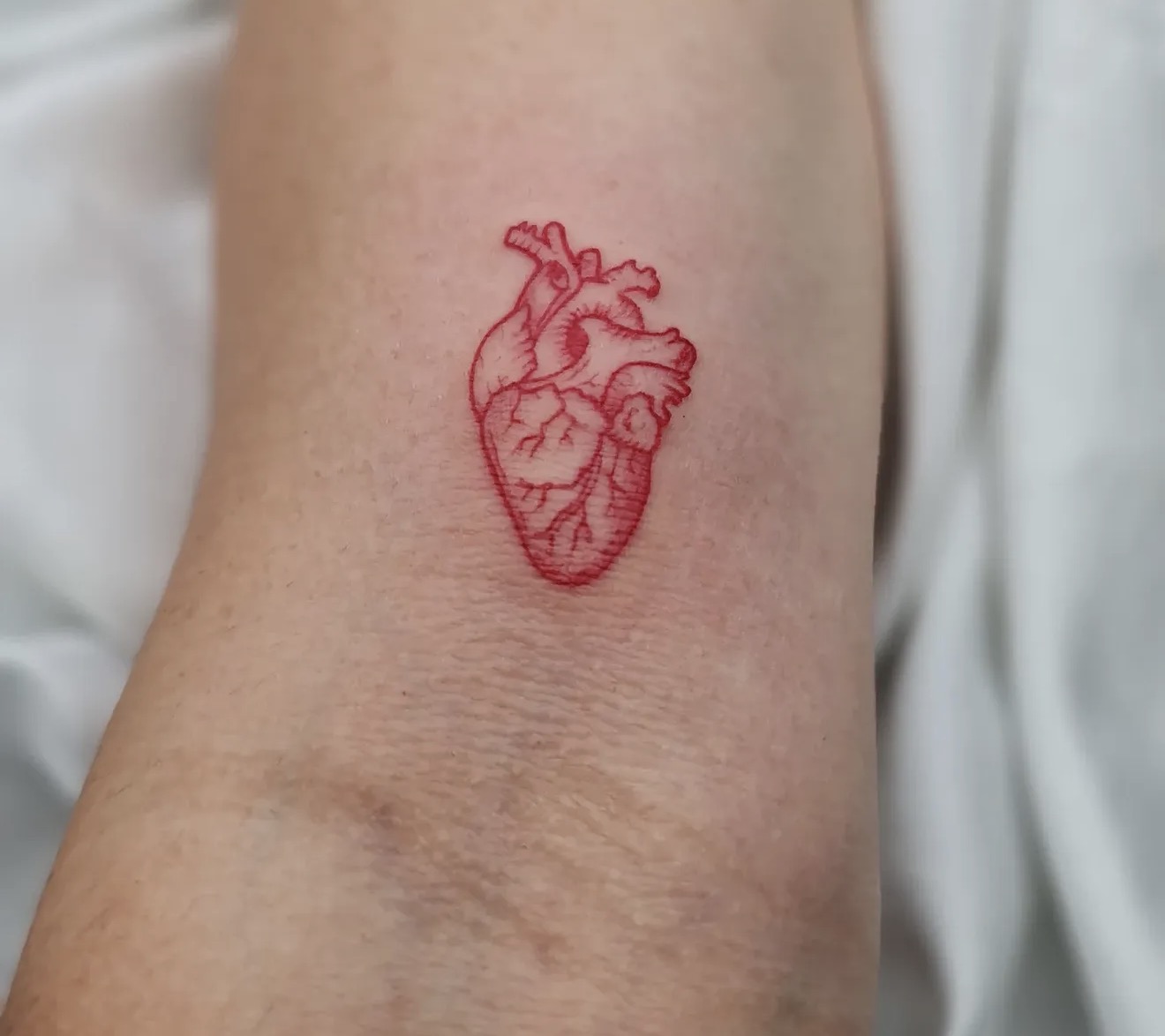Tattoo Junior Ink