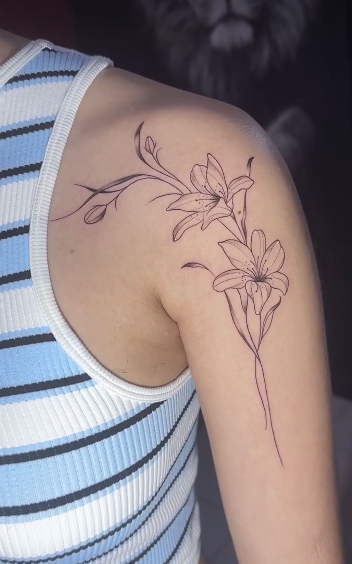 Tattoo Junior Ink